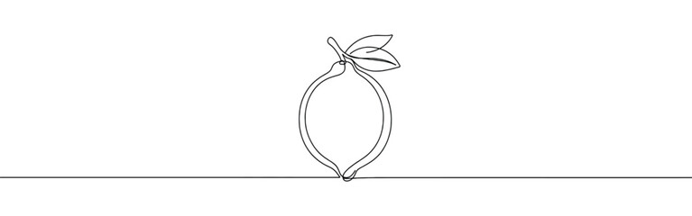 Orange, lemon, lime, grapefruit continuous one line drawing. Citrous symbol. Vector illustration.Orange, lemon, lime continuous one line drawing. Citrous symbol. Vector illustration.