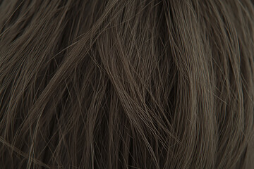 Fototapeta premium Beautiful hair of a beauty, hairstyle advertising design