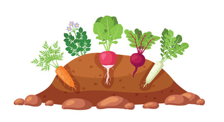 Vegetables in the garden bed. Vector illustration.