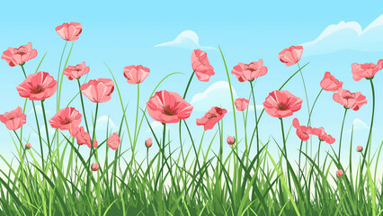 Illustration of blooming red poppies in green grass under blue sky. Spring meadow scene.
