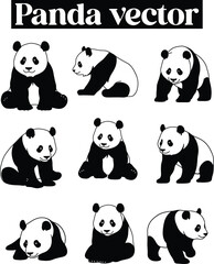 Fototapeta premium Panda Black and White Bear Illustrations Silhouettes