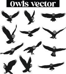 Obraz premium Owl Nocturnal Bird Illustrations Silhouettes