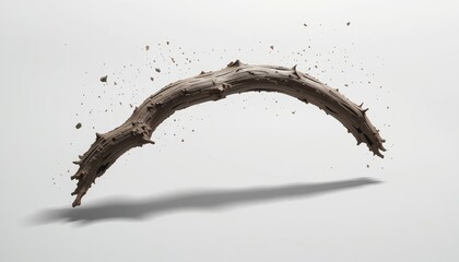 Dynamic motion of a flying thorny branch in mid-air studio setting high-resolution photography minimalistic environment close-up perspective nature's art