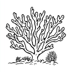 Coral reef illustration, ocean seabed, underwater life, coloring page, marine biology