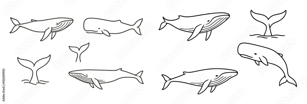 Aufkleber Collection of line style web icons depicting various whale designs and tails for digital or print use