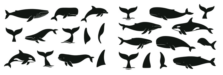 Set of web icons showcasing marine animals in line style including dolphins, whales, and tails for use in digital projects