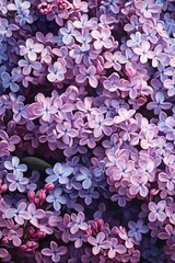 Obraz premium High-Precision Image of Lilac Blossoms Creating a Colorful Canopy