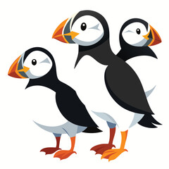 Puffin Birds set  on white background