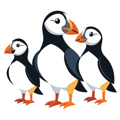 Puffin Birds set  on white background