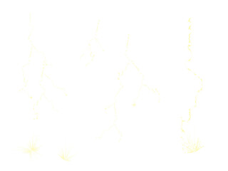 雷バリエーション