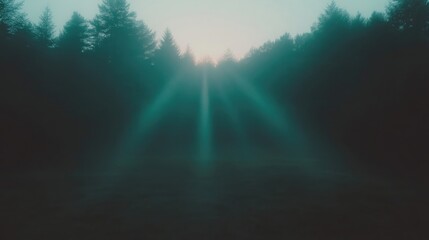 Fototapeta premium Mystical forest sunrise, sunbeams piercing fog