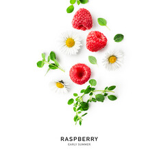 Raspberry, marjoram and daisy flowers photography isolated on white background.