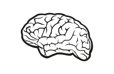 brain icon black high vector
