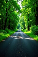 Obraz premium A sunlit asphalt road winds through a verdant canopy of trees, a picturesque journey into nature's embrace.