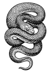 Dynamic Snake Illustration