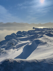 Polar bear tracks in the snow from Svalbard