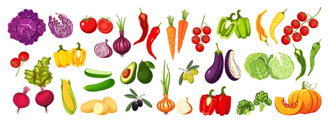 Set of vegetables. Fresh products. Tomatoes, pumpkin, cucumbers, avocado, pepper. Vector illustration isolated on white background.