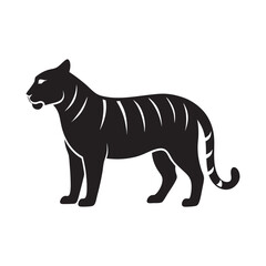 Tiger silhouette on white background