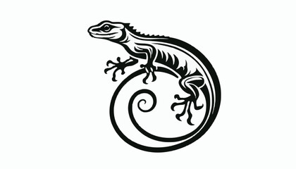 black and white desert lizard