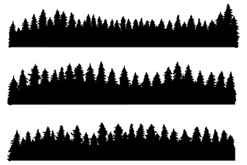 Forest evergreen, coniferous trees, silhouette vector background