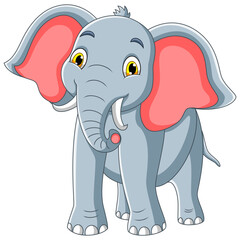Cartoon single elephant watching happily in jungle. Vector illustration