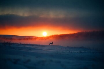 A solitary reindeer stands under a bright full moon, casting a mystical shadow on the snow while creating a serene winter atmosphere against a tranquil backdrop
