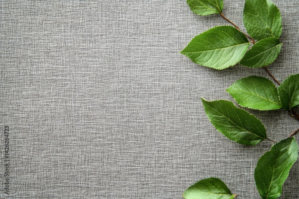 Poster Fresh green leaves arranged on a textured gray background creating a natural decorative element for various purposes