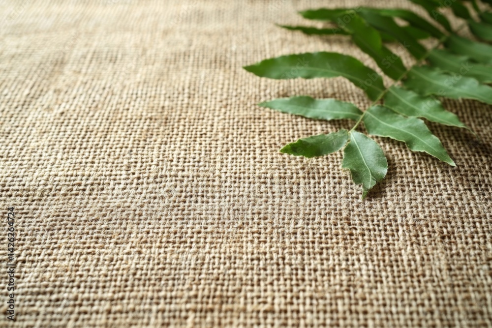 Aufkleber natural green leaf rests on textured burlap fabric in a serene indoor setting with soft lighting