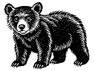 Fototapeta premium Bold Bear Cub Illustration: A Whimsical Wildlife Sketch
