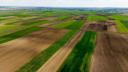 aerial drone view of colorful countryside farm fields in poland