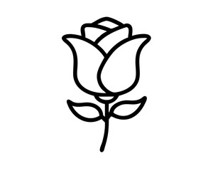 black and white rose