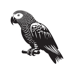 Graceful African Grey Parrot Silhouette Vector - Elegant Tropical Bird Design -  Ideal for Art Prints  - African Grey Parrot Illustration.