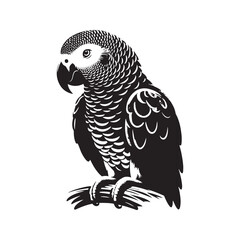 Graceful African Grey Parrot Silhouette Vector - Elegant Tropical Bird Design -  Ideal for Art Prints  - African Grey Parrot Illustration.