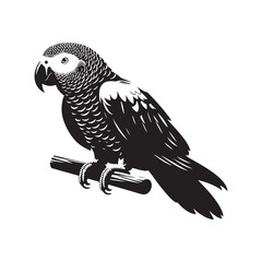 Graceful African Grey Parrot Silhouette Vector - Elegant Tropical Bird Design -  Ideal for Art Prints  - African Grey Parrot Illustration.