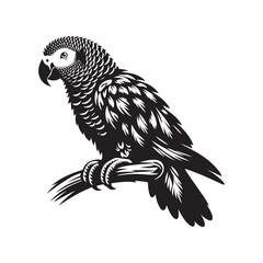 Graceful African Grey Parrot Silhouette Vector - Elegant Tropical Bird Design -  Ideal for Art Prints  - African Grey Parrot Illustration.