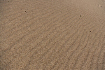 Textured Sand Surface With Detailed Ripples and Natural Patterns