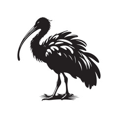 Majestic African Sacred Ibis Silhouette Vector - Elegant Wading Bird Design for Nature Art - African Sacred Ibis  Illustration.