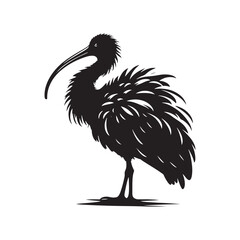 Majestic African Sacred Ibis Silhouette Vector - Elegant Wading Bird Design for Nature Art - African Sacred Ibis  Illustration.
