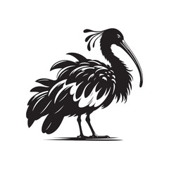 Majestic African Sacred Ibis Silhouette Vector - Elegant Wading Bird Design for Nature Art - African Sacred Ibis  Illustration.