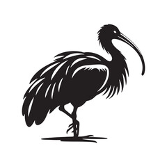 Majestic African Sacred Ibis Silhouette Vector - Elegant Wading Bird Design for Nature Art - African Sacred Ibis  Illustration.