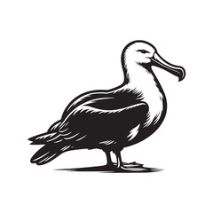 Soaring Albatross Silhouette Vector - Majestic Seabird Design Perfect for Nautical Art - Illustration of Albatross.