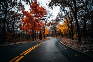 Winding road through vibrant autumn trees in a tranquil forest setting during a cloudy day