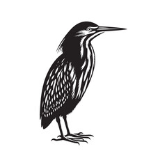 Striking American Bittern Silhouette Vector - Elegant Marsh Bird Design - Minimalist American Bittern Art- American Bittern Illustration.