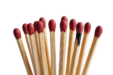 Close-Up of Wooden Matches with Red Tips
