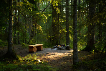 A serene forest setting with a wooden bench near a small campfire, surrounded by greenery and tall trees.