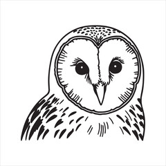 Fototapeta premium Close-Up of Barn Owl with Piercing Eyes in Natural Habitat