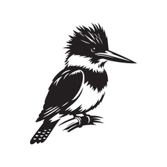Dynamic Belted Kingfisher Silhouette Vector - Striking Bird Design Perfect for Nature Art - Educational Materials - Illustration of Belted Kingfisher.