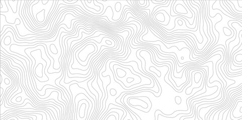 Abstract topography pattern lines sea map area space geometric strip grid line topo map technology modern design white background.