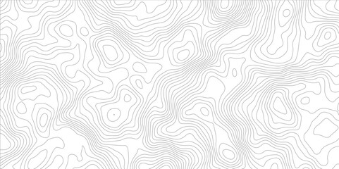 Fototapeta premium Abstract digital modern topography white and soft grey pattern lines sea map area space geometric strip grid line topo map technology modern design white background. 