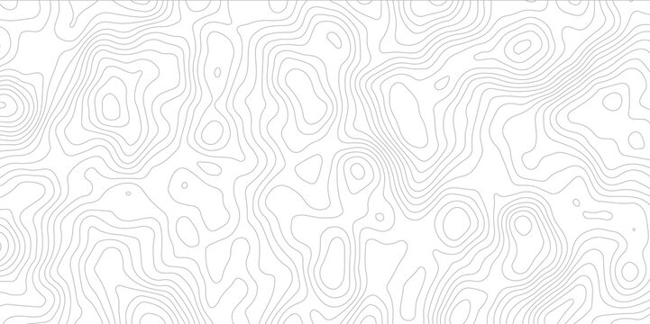 Abstract digital modern topography white and soft grey pattern lines sea map area space geometric strip grid line topo map technology modern design white background.	